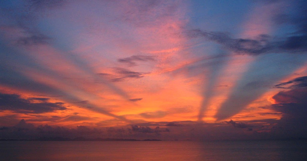 WHO RATTLED YOUR CAGE?