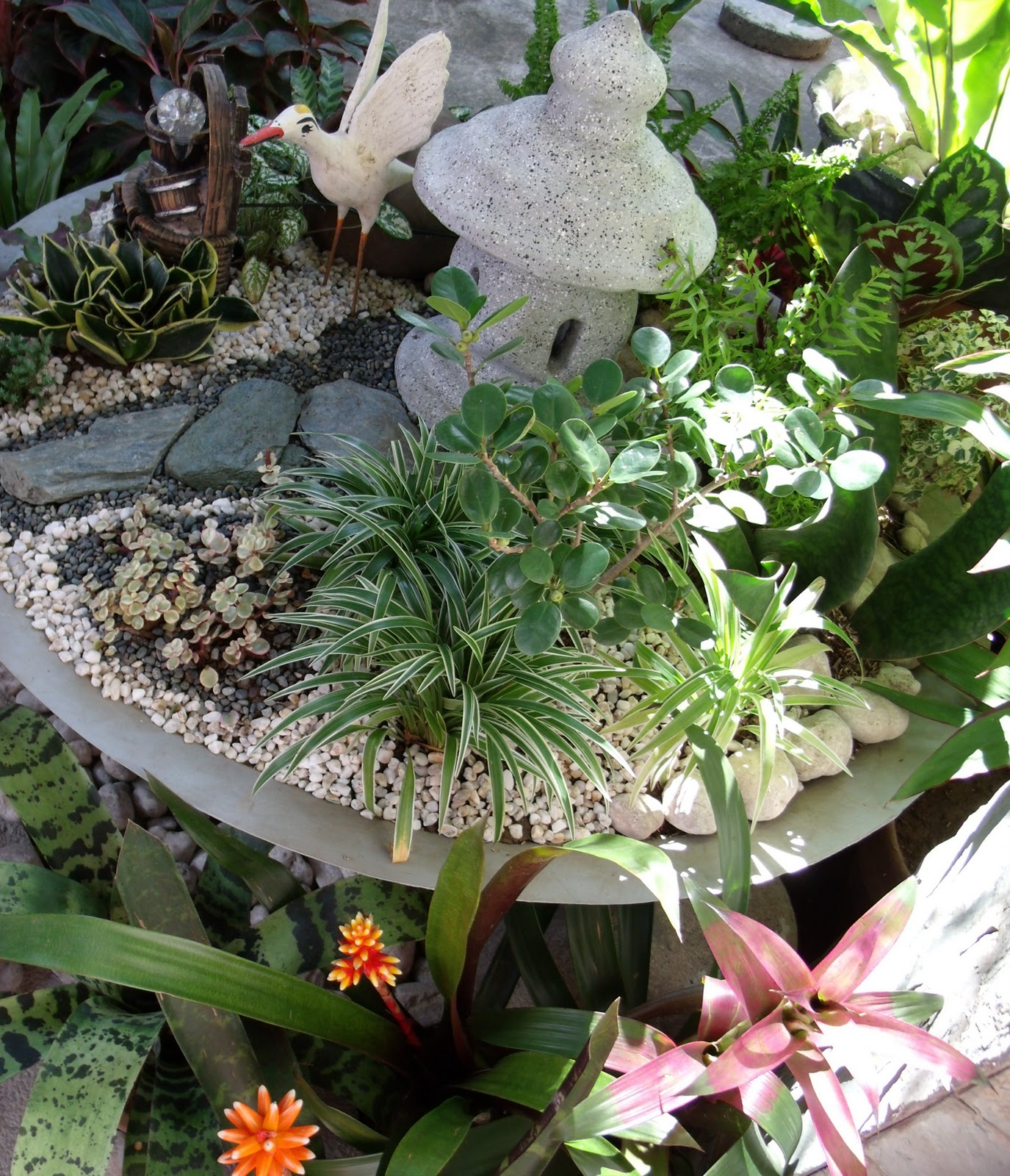 Simple Garden Thoughts: Making of a Dish Garden