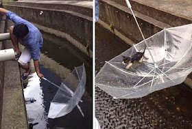 صور إنسانية مذهلة من حول العالم