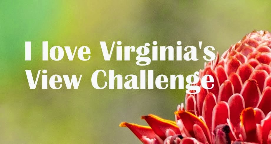 Virginia's View
