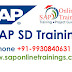 Exceptional capabilities of SAP SD training platform in Sales and Distribution!