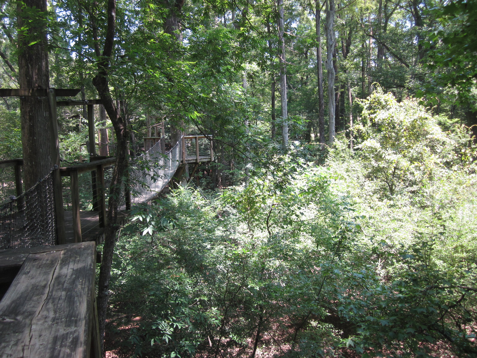 Love 2 Travel With Kids Lynches River County Park and Canopy Walk in
