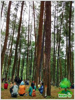 Pemandangan Nongko Ijo