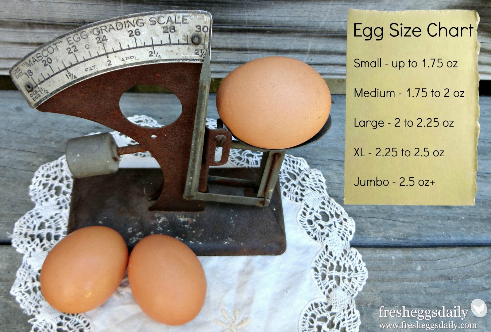 Difference Between Egg Sizes: Small, Medium, Large, Extra-Large, Jumbo