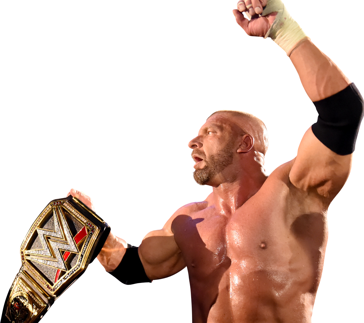 Renders Backgrounds LogoS: Triple H