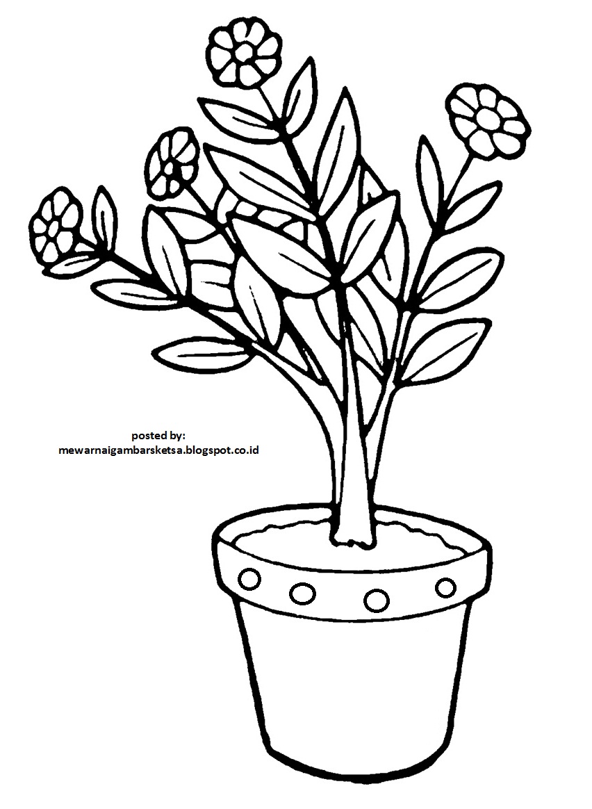 Mewarnai Gambar: Mewarnai Gambar Sketsa Bunga 2
