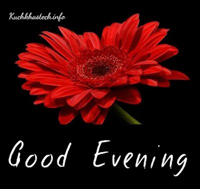 Good Evening Images Good Evening Images