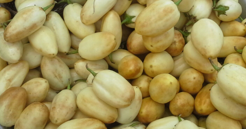 Love Education: shocking Benefits of GARDEN EGGS