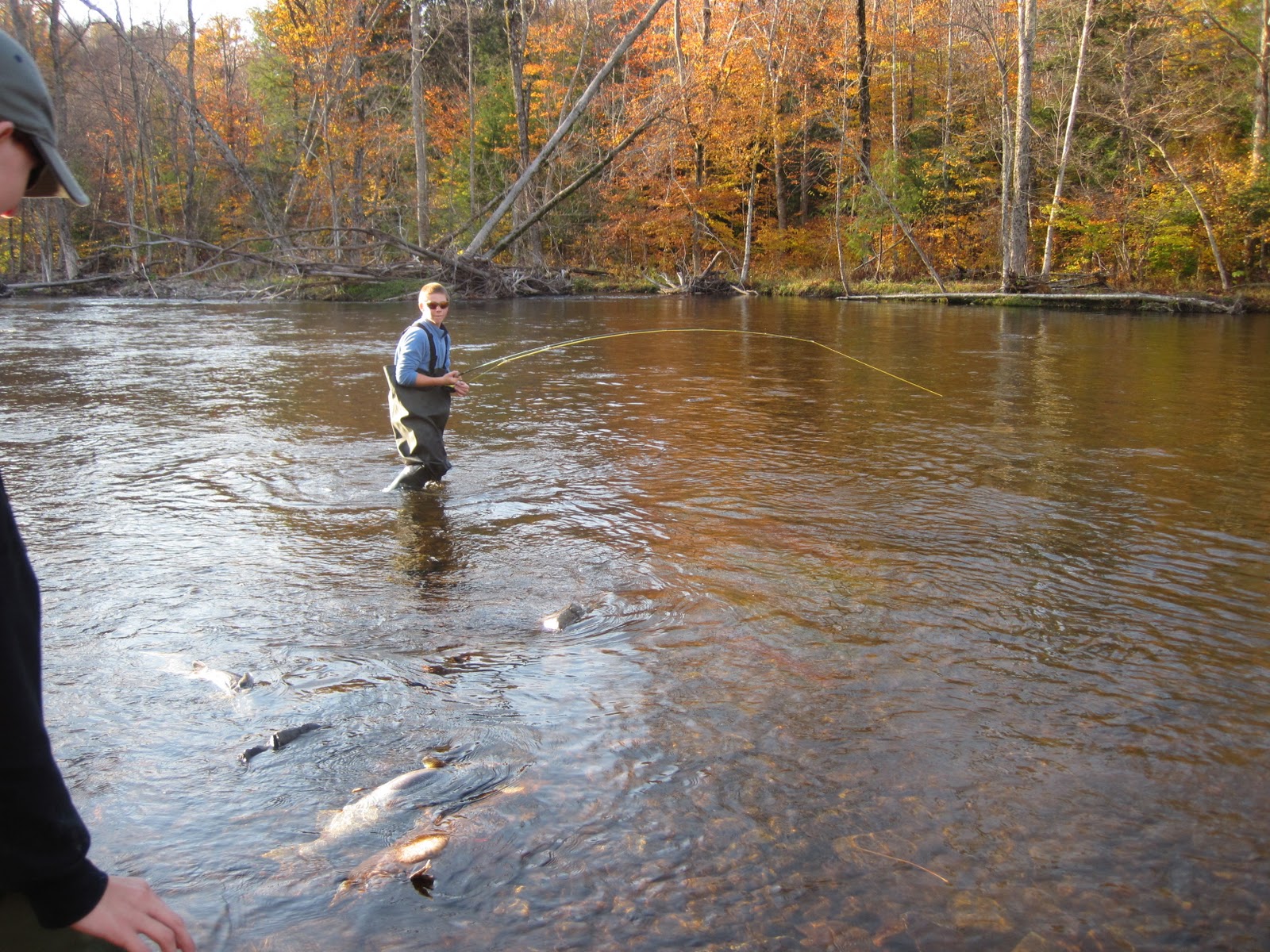 Schroon River Angler Zombie King Salmon
