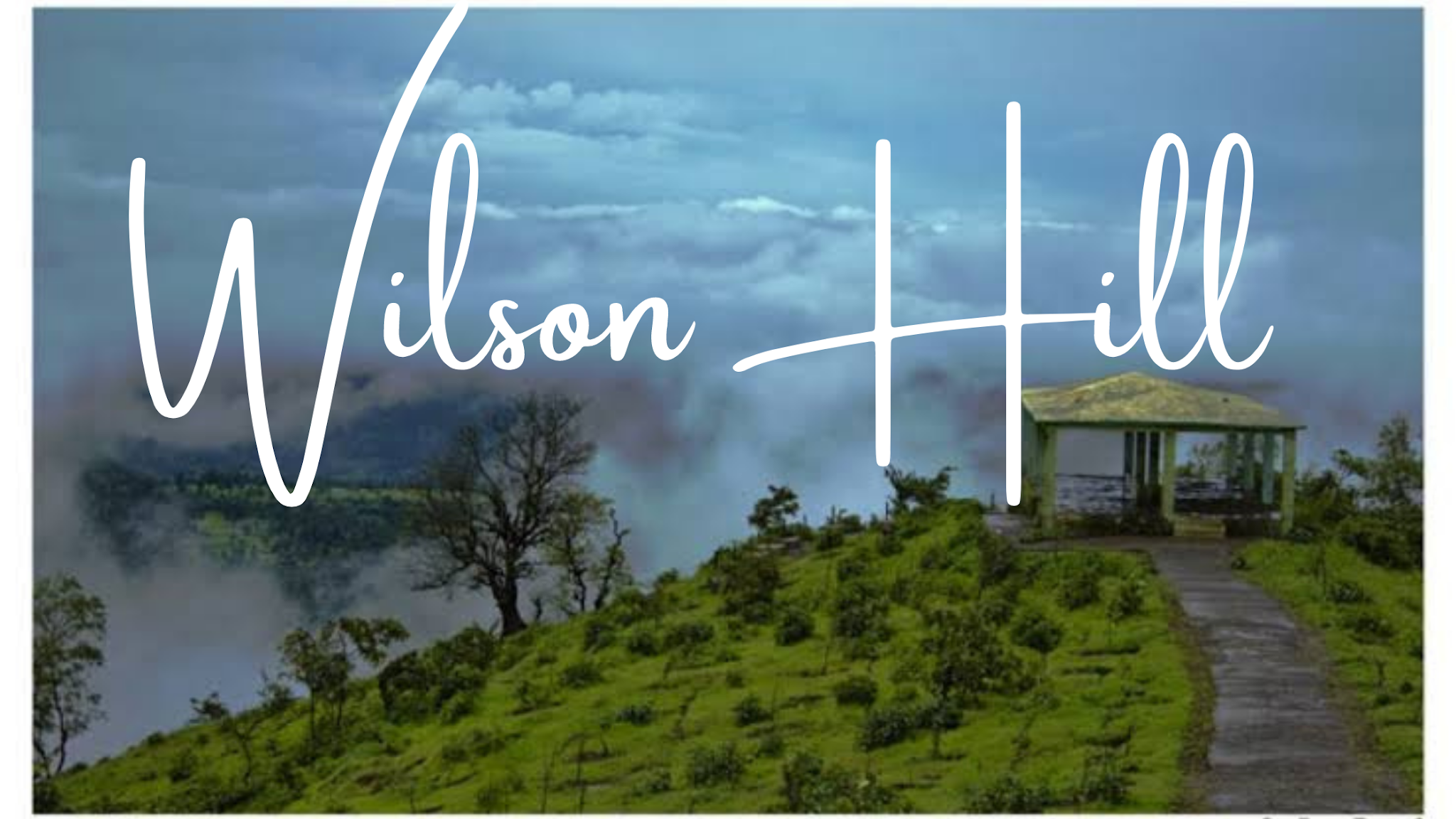 Ten Reasons You Should Go To Wilson Hill Station Right Now.