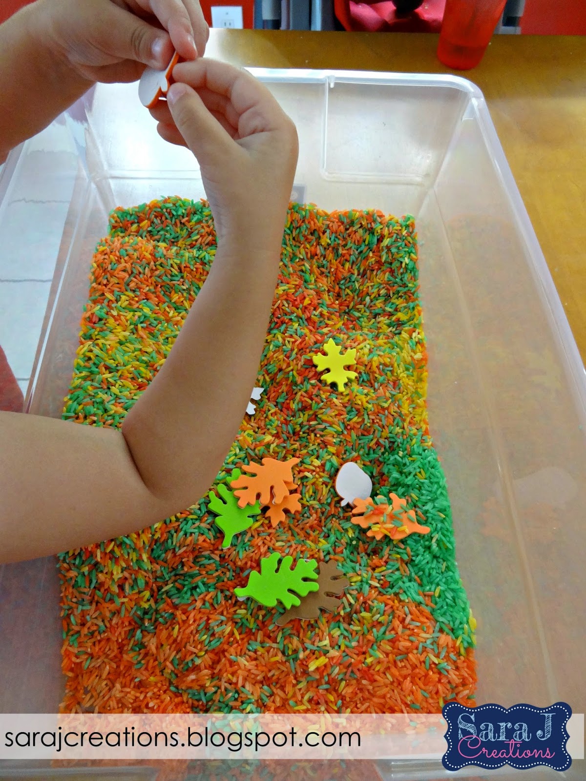 Fall sensory bin activities with free printable matching pictures card game.
