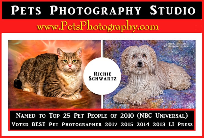 Celebrity Pet Photographer Richie Schwartz 