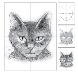 shading pencil cat head projects drawing draw drawings animals project easy practice animal exercise artprojectsforkids kid sketching grade arts shaded