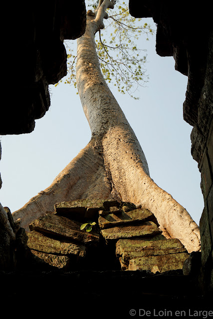 Preah Khan - Angkor - Cambodge