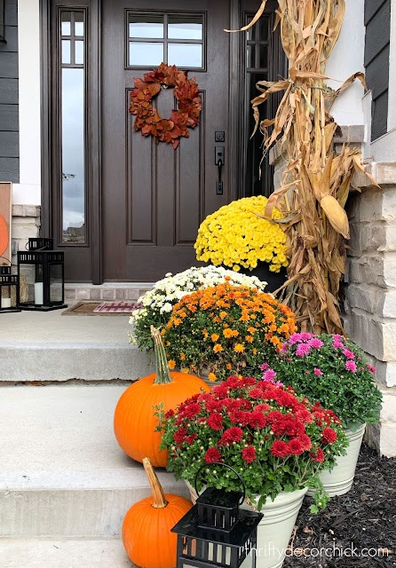 colorful mums and corn stalks front porch