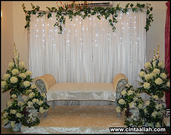 Pelamin CINTA