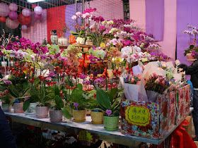 flowers for sale at Tap Seac Square Lunar New Year Market
