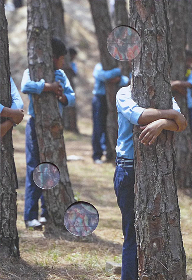 Box of crumbs essay picture