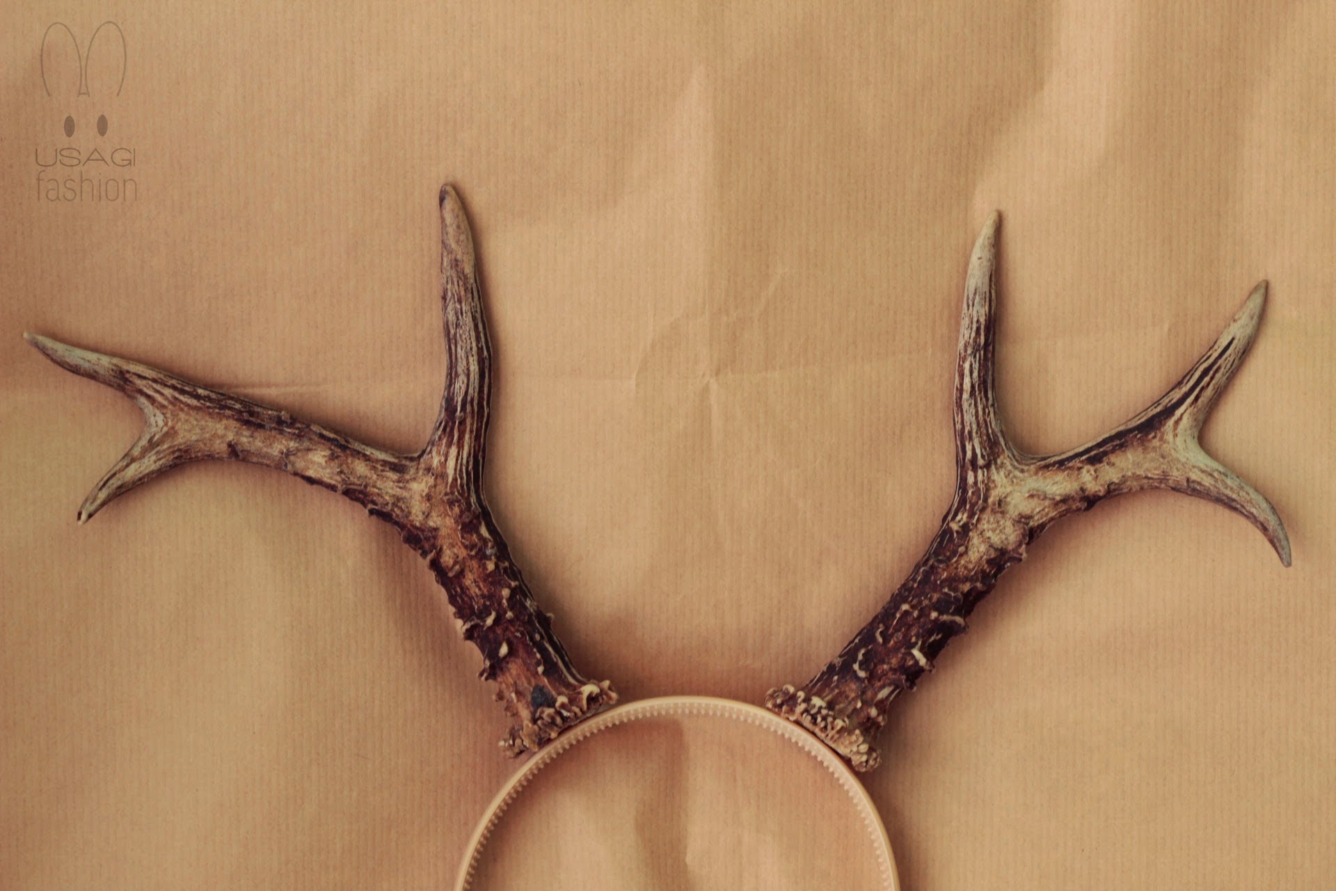 Jak działają agenci - jak stworzyć sektę