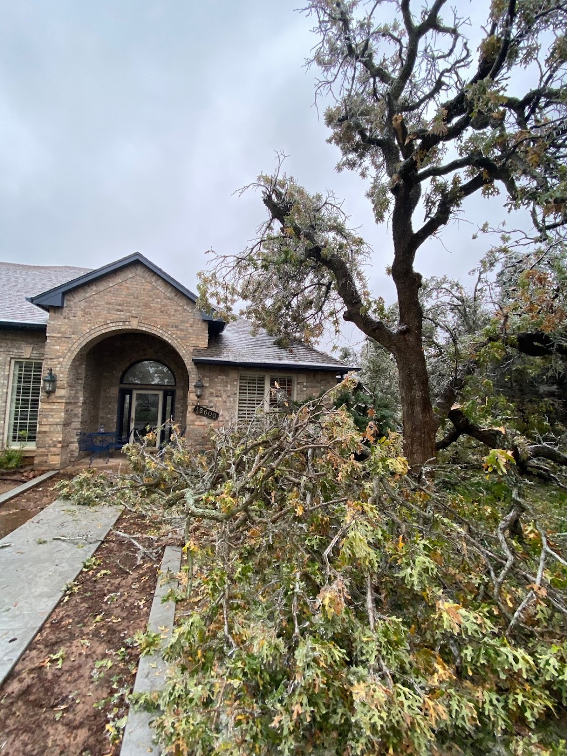 WaltersRail BNSF Trinidad to Cedarwood