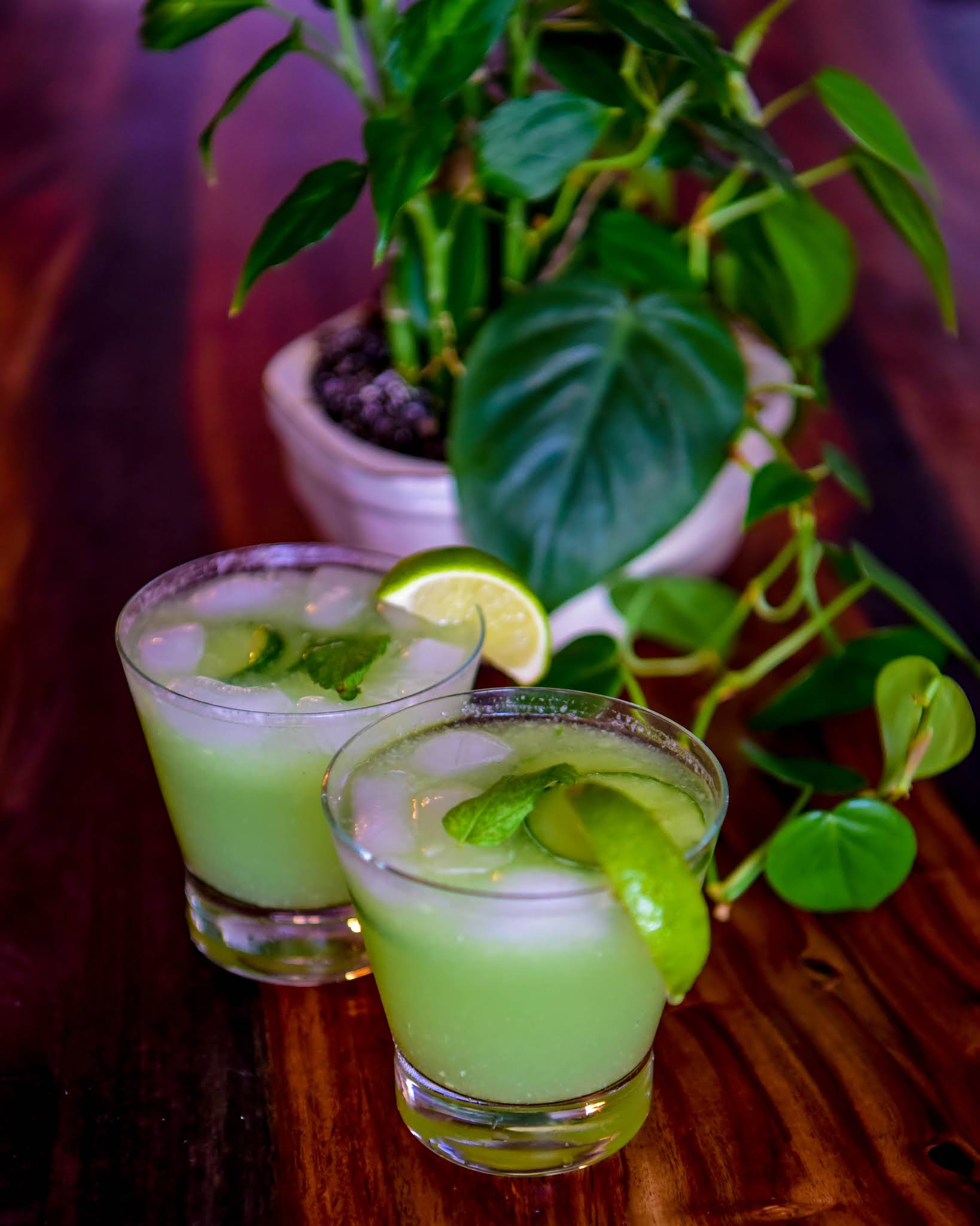 CUCUMBER COOLER COCKTAIL FROM GARDEN TO TABLE JOURNOSPEAK