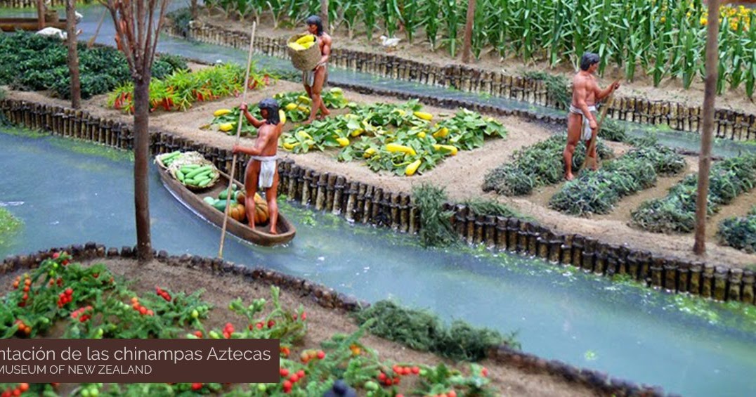 Las Chinampas Agricultura ancestral en México Historia Cultural Las Chinampas Agricultura ancestral en México Historia Cultural