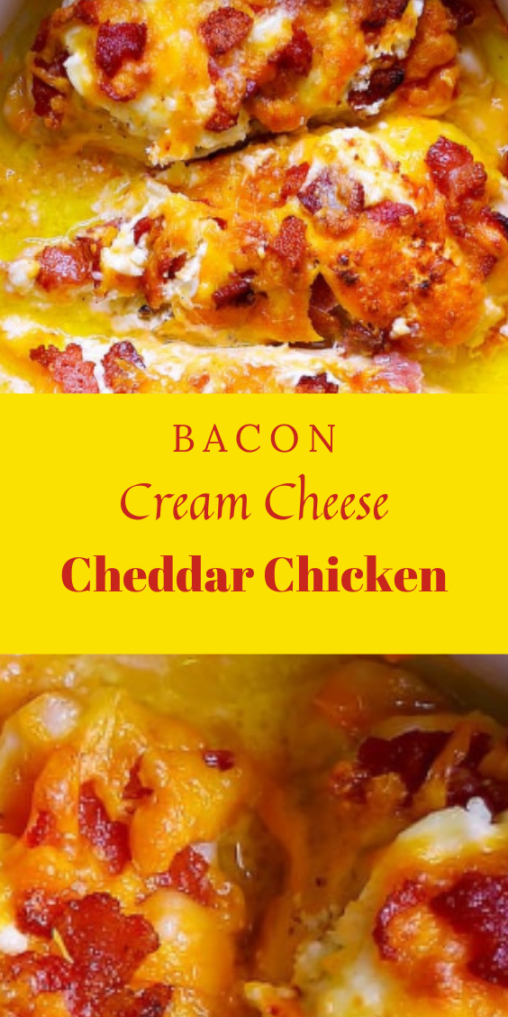 bacon cream cheese cheddar chicken