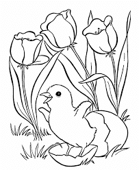 Top 7 Newborn Bird Coloring Pages for Kids