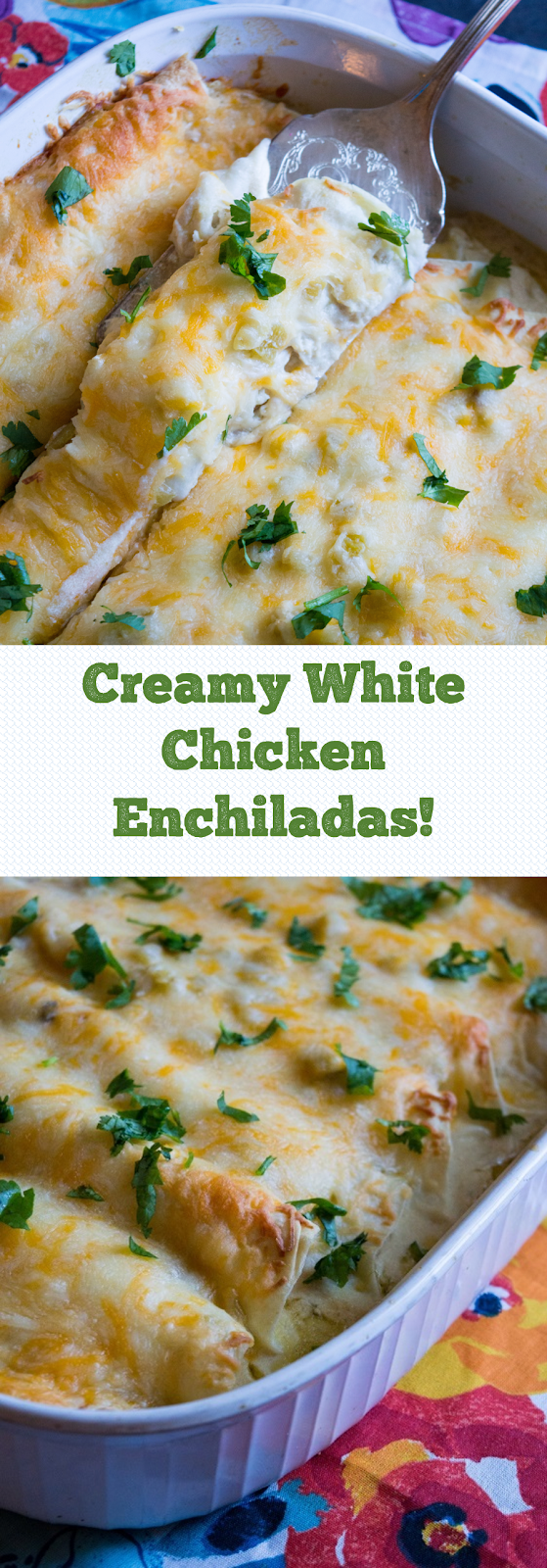 Creamy White Chicken Enchiladas! - 2 Andreas Viestad Food Recipes