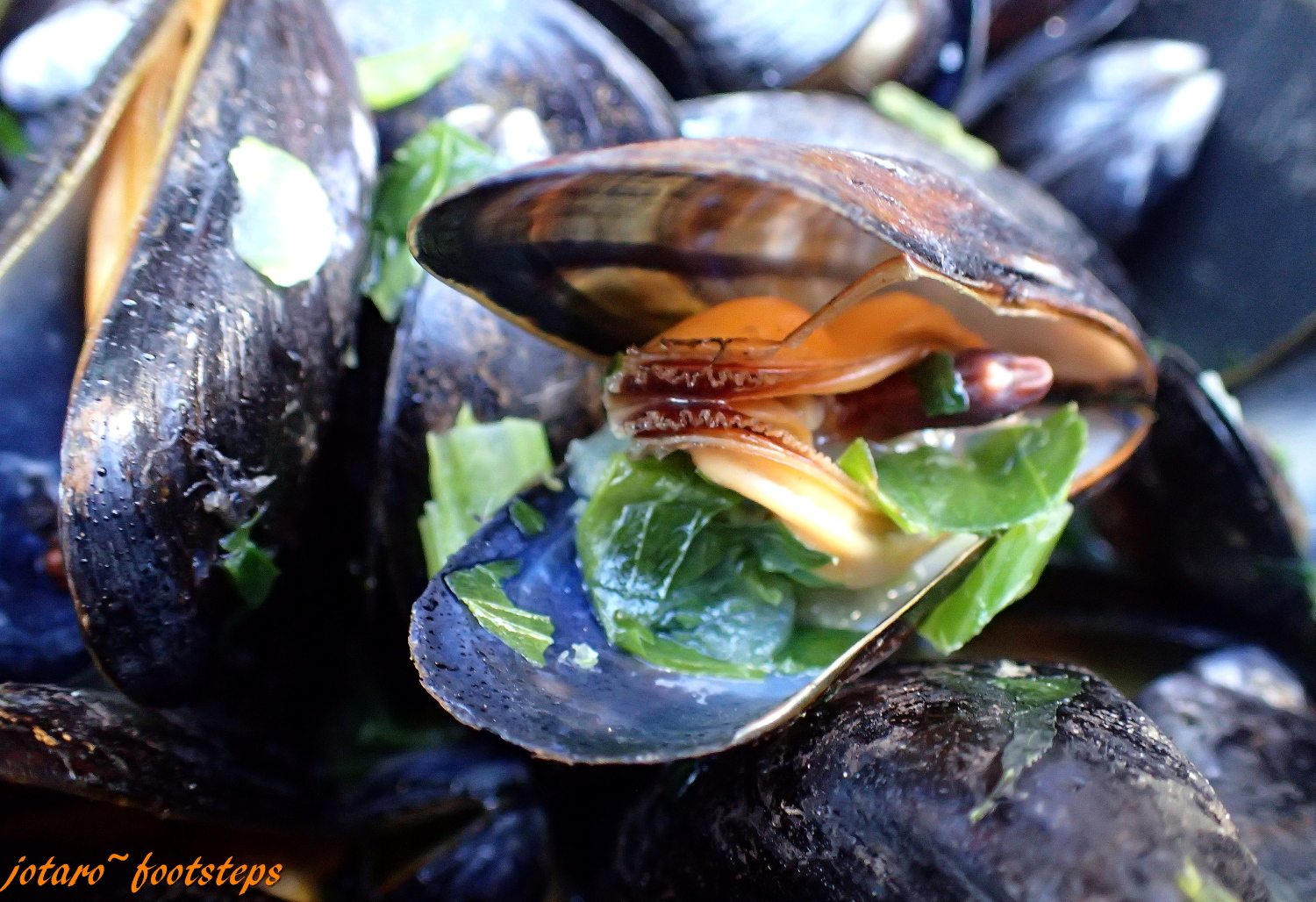 Footsteps Jotaro's Travels YummY! Brussels Mussels (Moules