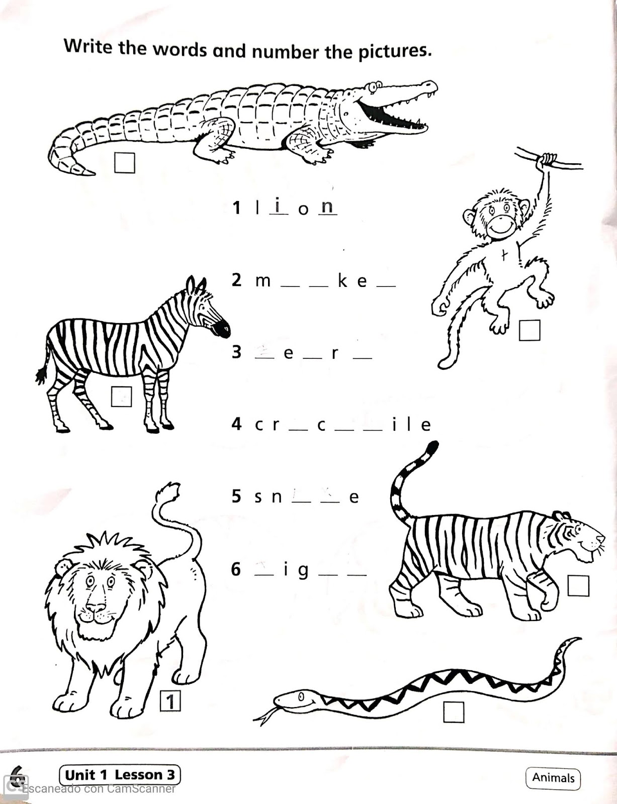 2DO GRADO INGLÉS ANIMALS