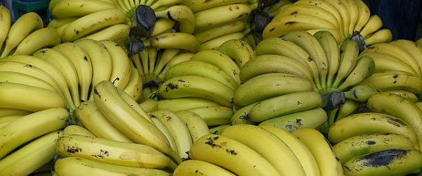 فاكهة الموز - فوائد الموز