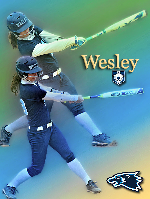 Wesley Wolverines Fastpitch Softball RISE BALL