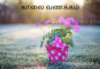 Good Morning Images in Tamil For Whatsapp