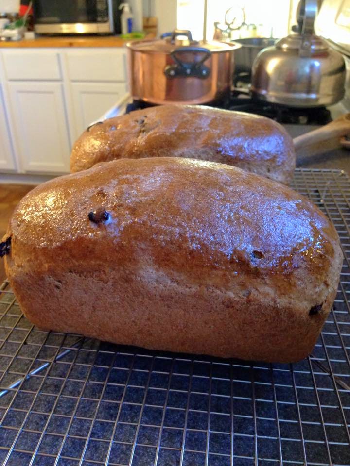 Whole Wheat Oatmeal Raisin Bread Recipe
