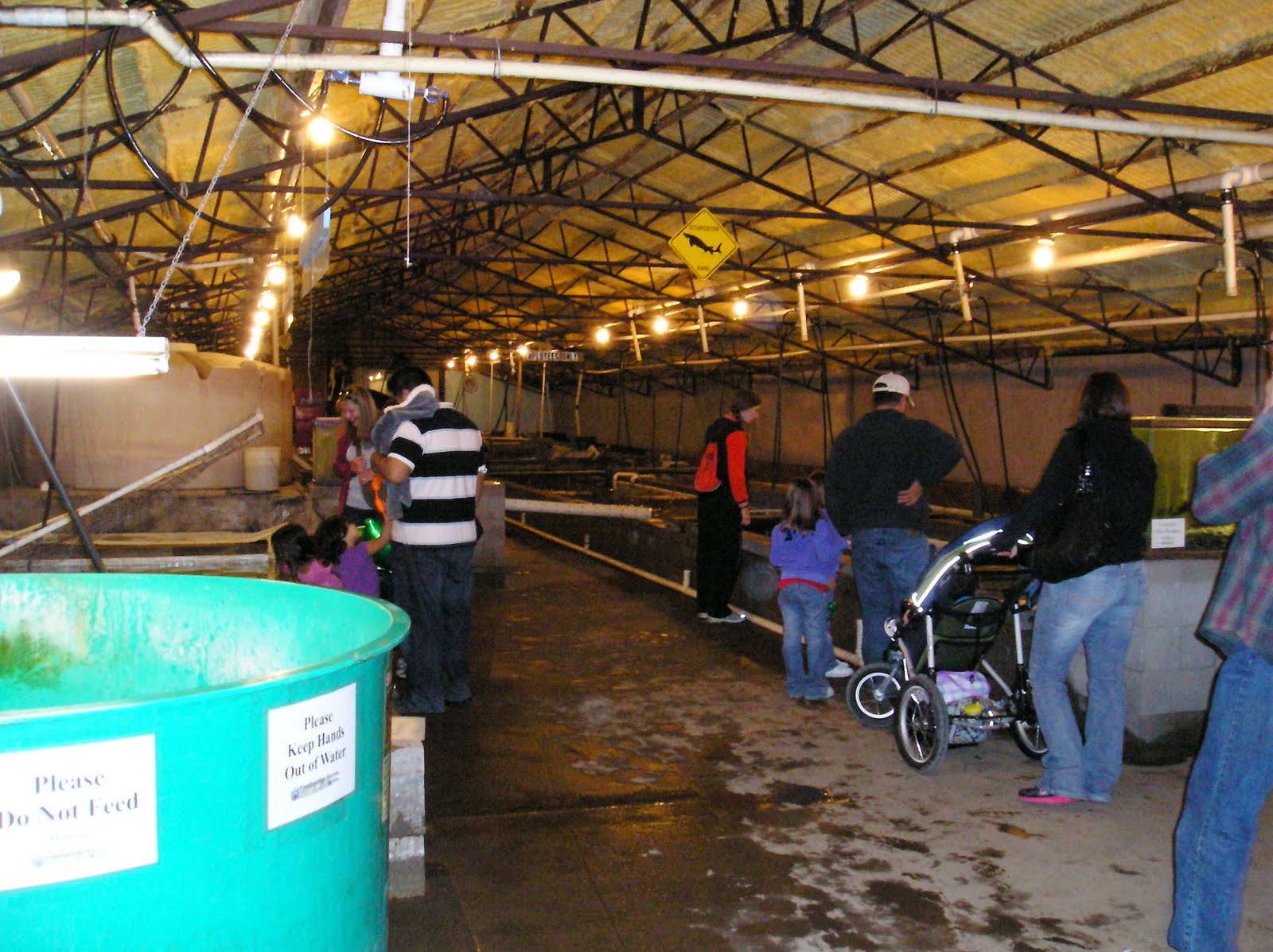 Ohio Fish and Shrimp Festival Urbana, Ohio