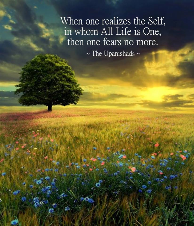 Spiritual but not Religious Spirituality  Quotes