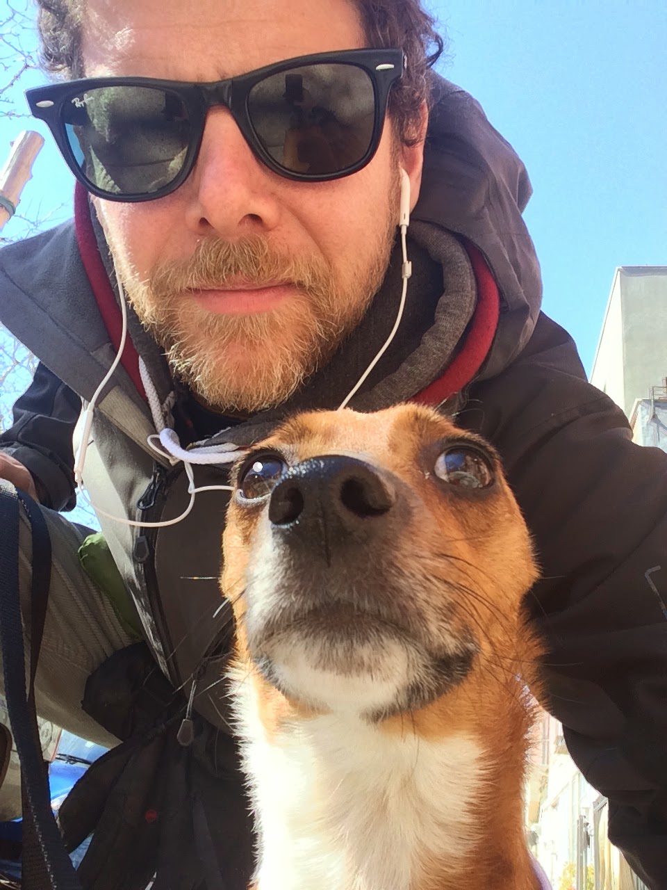 Jason The Dog Walker and Company.