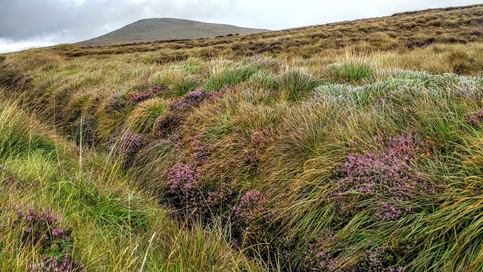 A Passion For Cards Achill Island and Newport, Co. Mayo