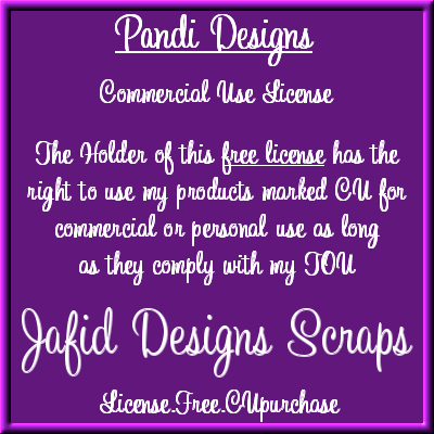 Pandi Designs CU License