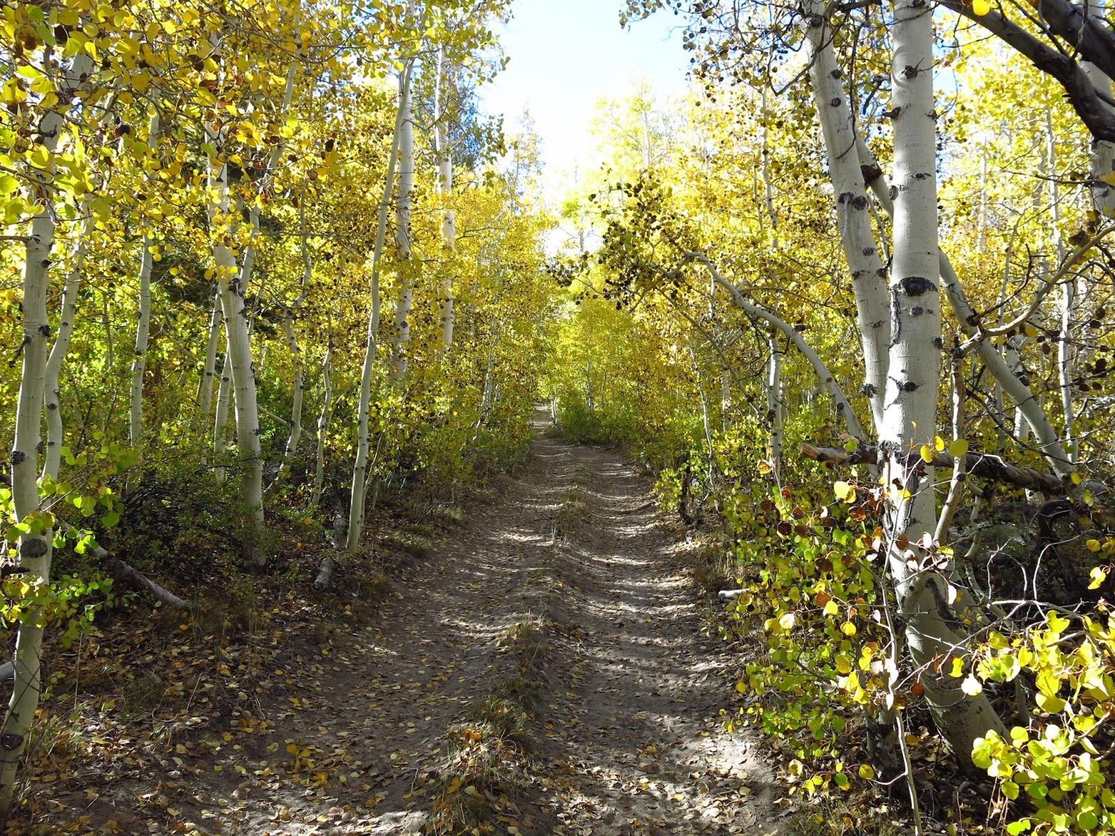 Explore A Bit More An Autumn Adventure in Mono County