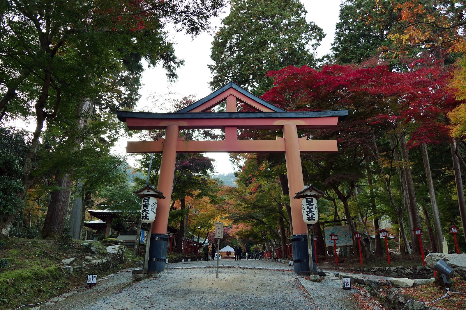 遊記 食記 我的京都紅葉狩 比叡琵琶湖篇 4 滋賀楓葉名所 日吉大社與夜楓