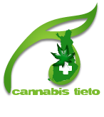 Cannabis blogi