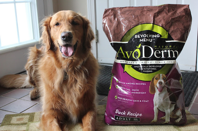 AvoDerm Natural dog food revolving menu grain free diet