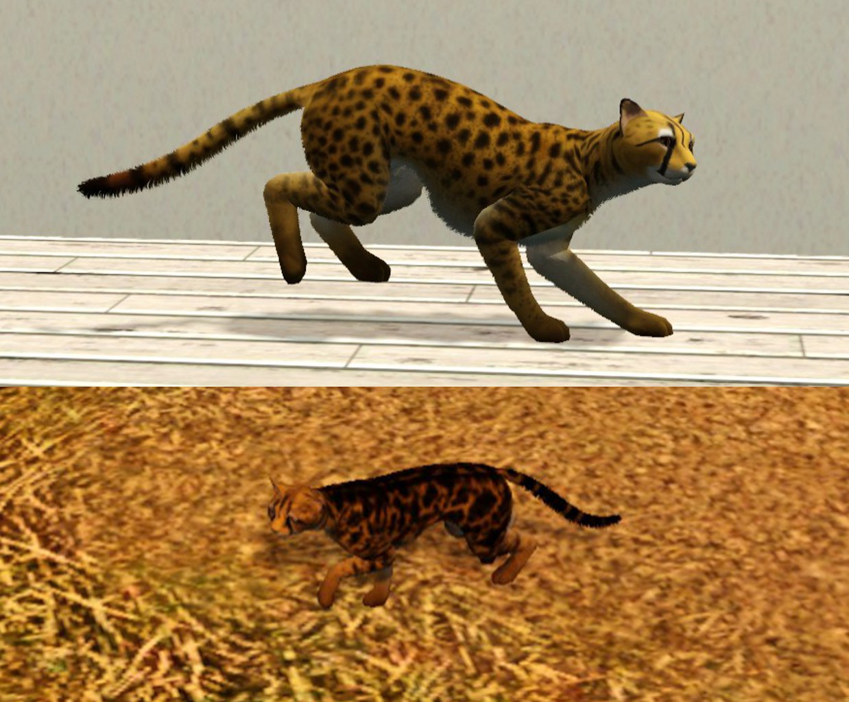 Wild animals as pets essay. Cheetah Family SIM. The Cheetah мод. Гепард в симс 4. Взломанная the Cheetah 1. 1. 7..