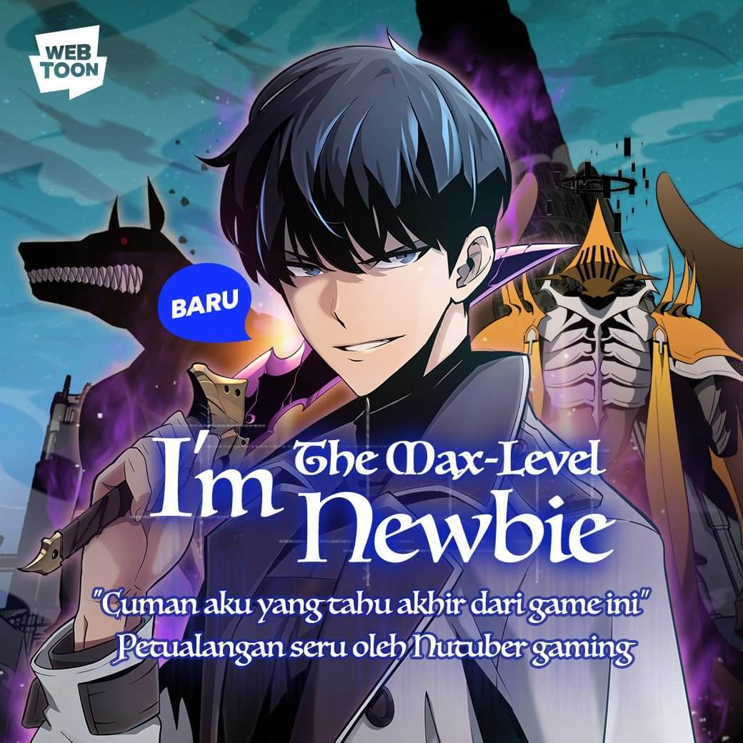 Solo max level newbie novel