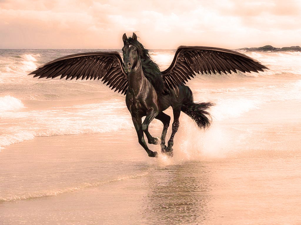 My Black Horse with Wings Dream Blog Post 13