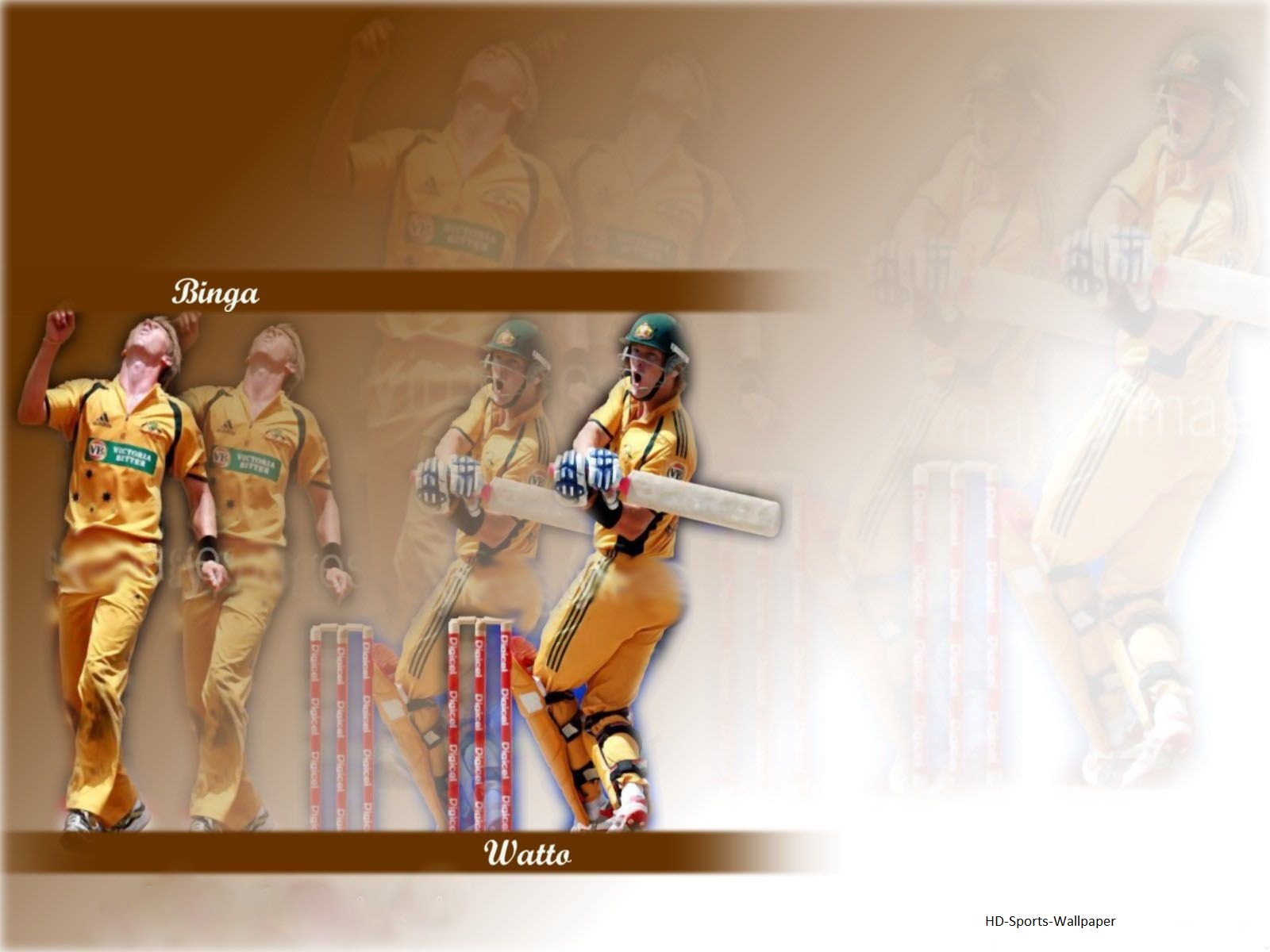 HD Sports Wallpaper: Shane watson| hd Shane watson wallpaper| Shane