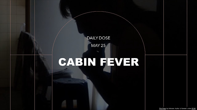 Day 10 : Cabin Fever