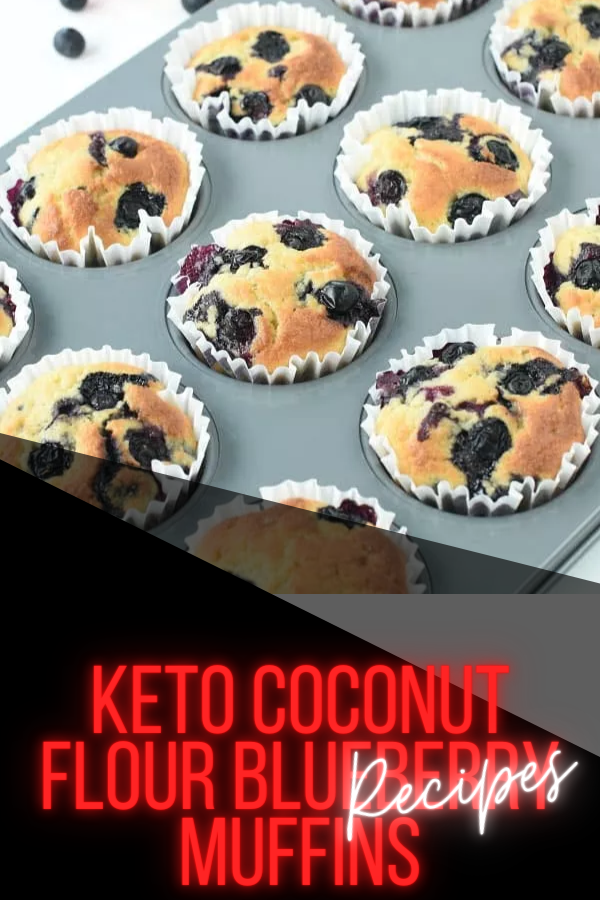 KETO COCONUT FLOUR BLUEBERRY MUFFINS DR for Christmas
